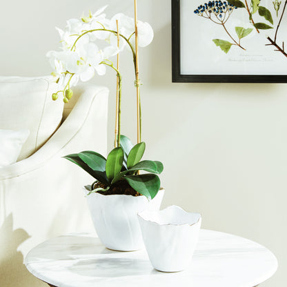 Organic white ceramic cachepots, set of two, stylized on table with orchid.