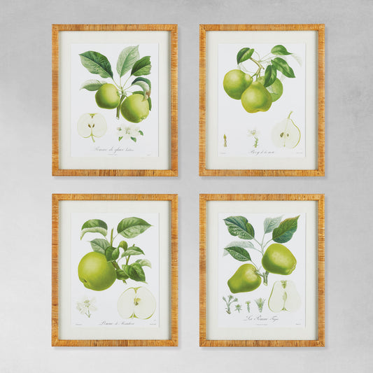Pears and apples gallery wall art set on gray wall.