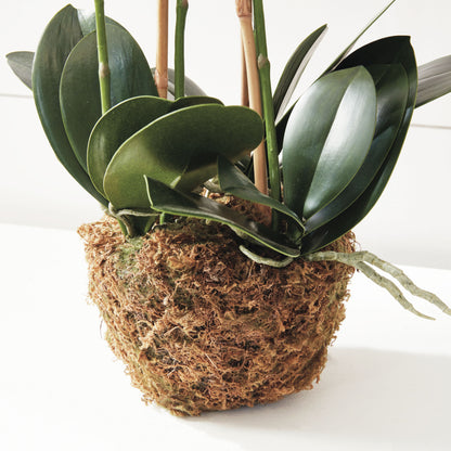 Pink faux phalaenopsis orchid 30 inch - stylish home accent (Image3).