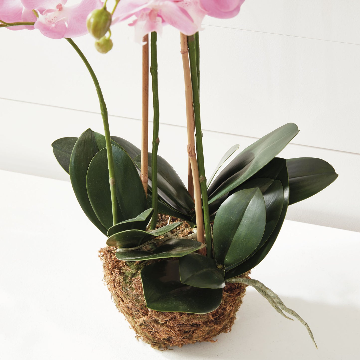 Pink faux phalaenopsis orchid 30 inch - stylish home accent (Image4).