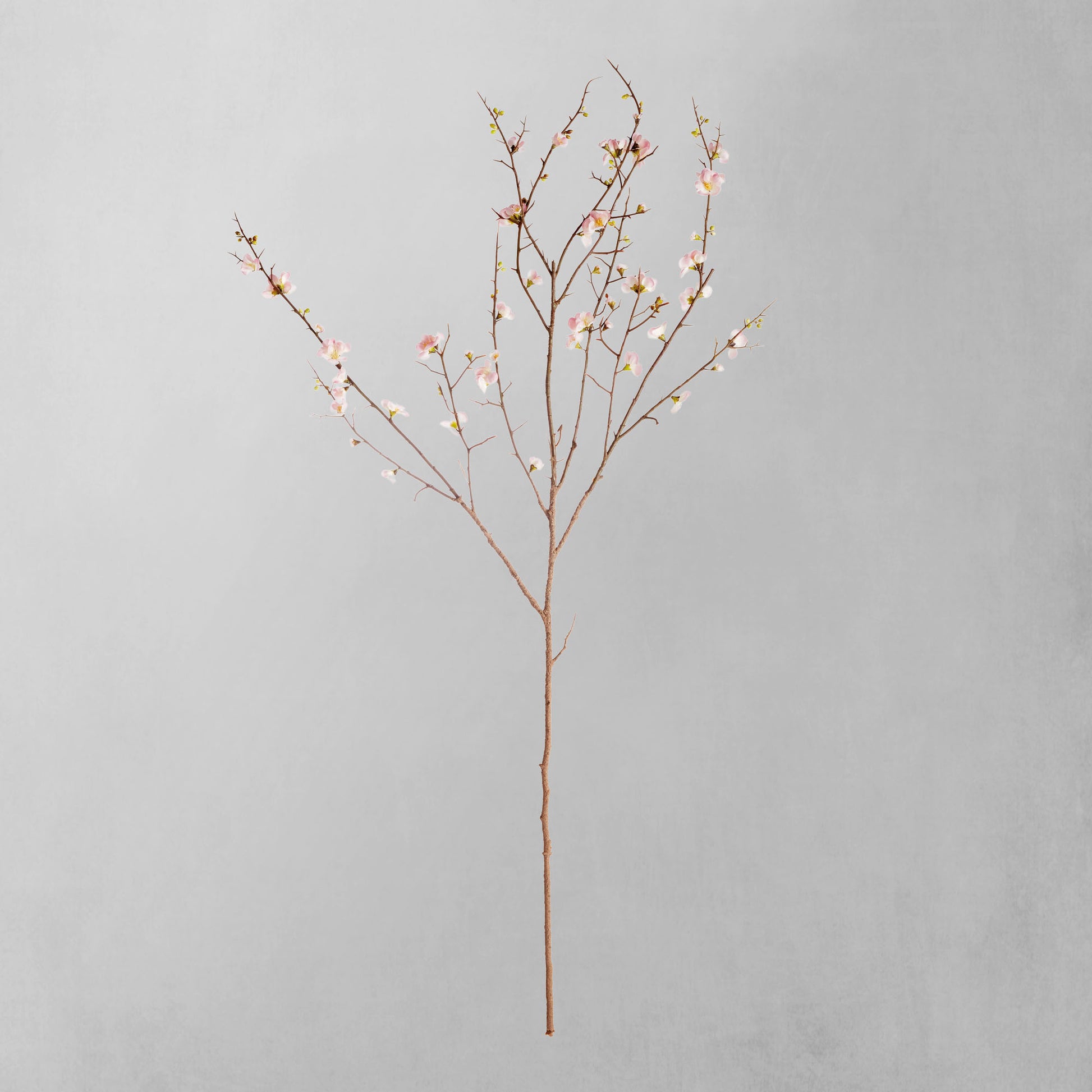 Pink faux quince blossom branches (set of 2) - stylish home accent (Image1).