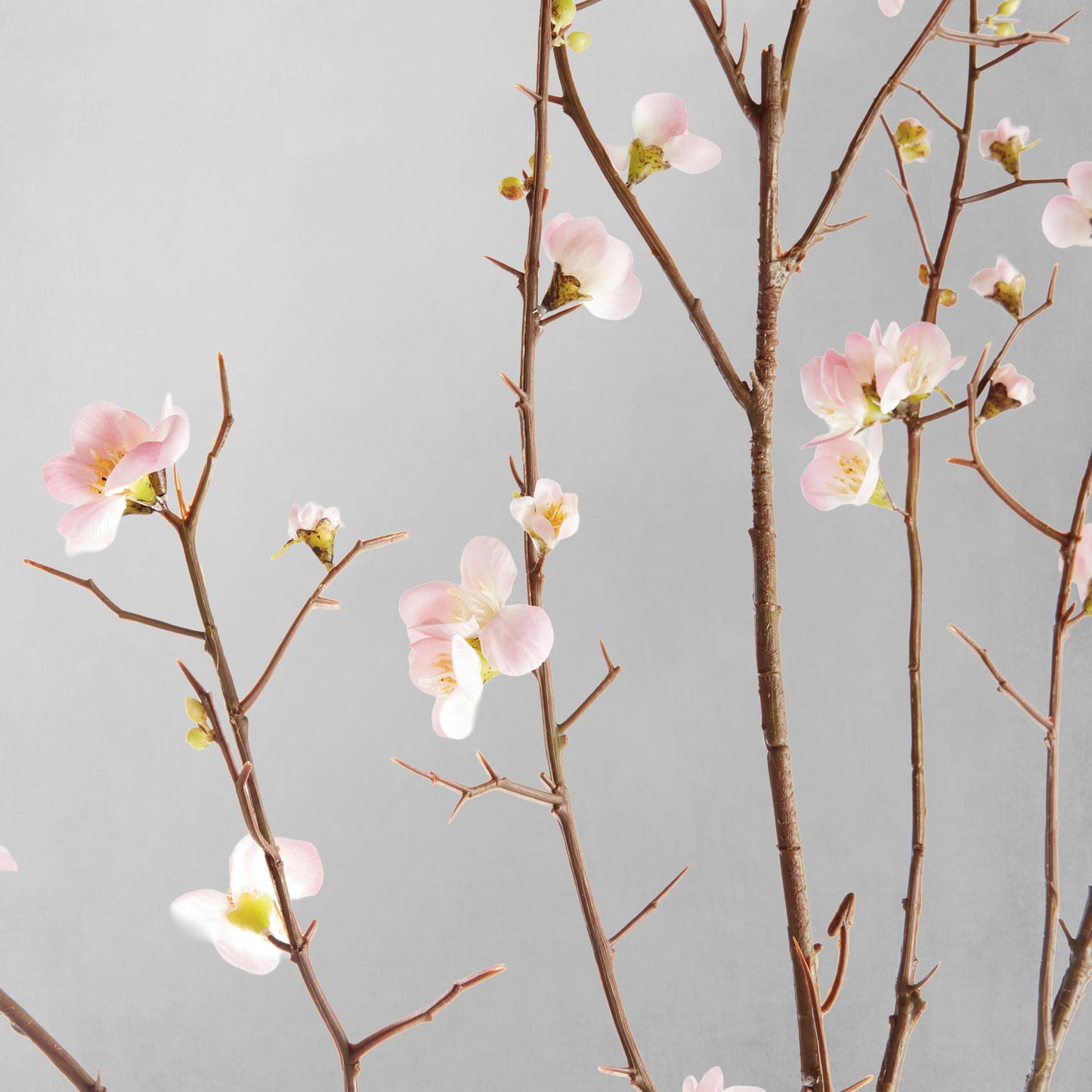 Pink faux quince blossom branches (set of 2) - stylish home accent (Image3).