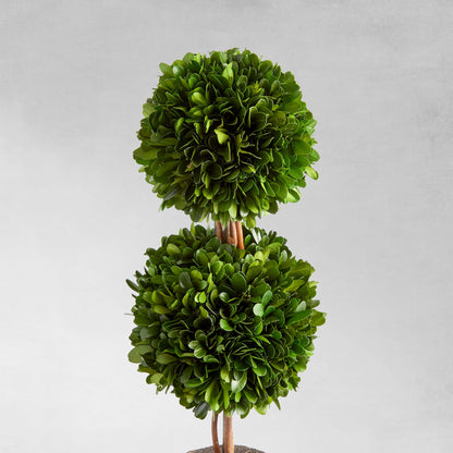 Preserved boxwood double sphere topiary 20 inch - stylish home accent (Image3).
