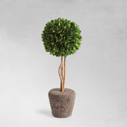 Preserved boxwood sphere topiary 16 inch - stylish home accent (Image1).