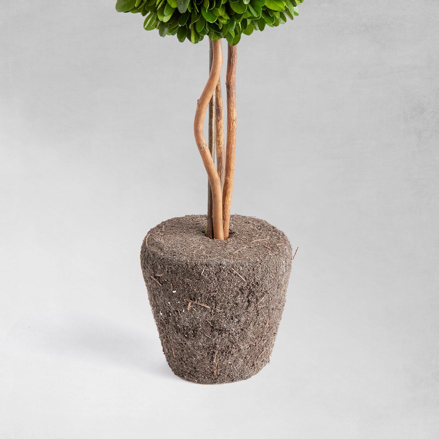Preserved boxwood sphere topiary 16 inch - stylish home accent (Image2).