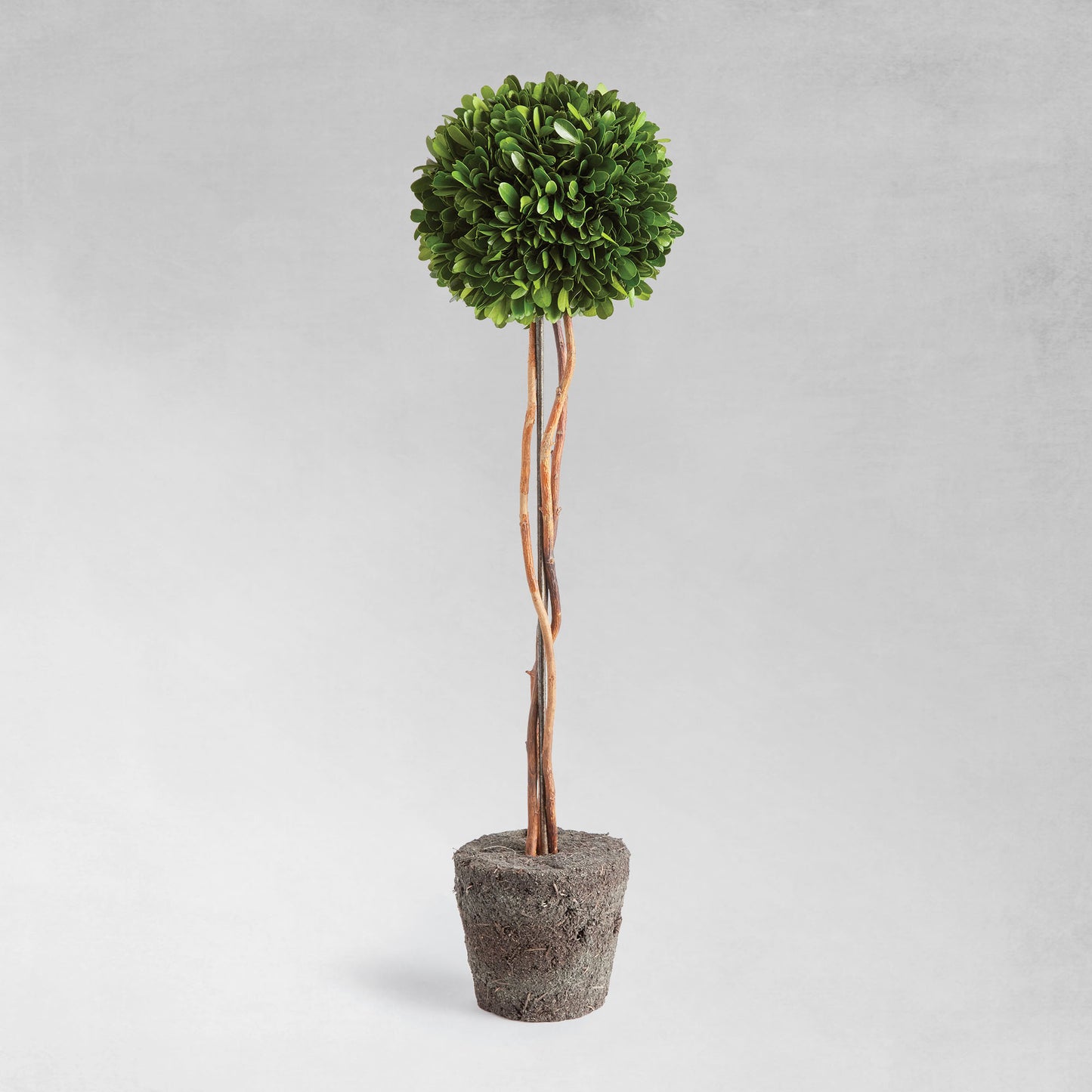 Preserved boxwood sphere topiary 24 inch - stylish home accent (Image1).