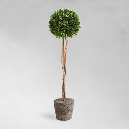Preserved boxwood sphere topiary 24 inch - stylish home accent (Image1).