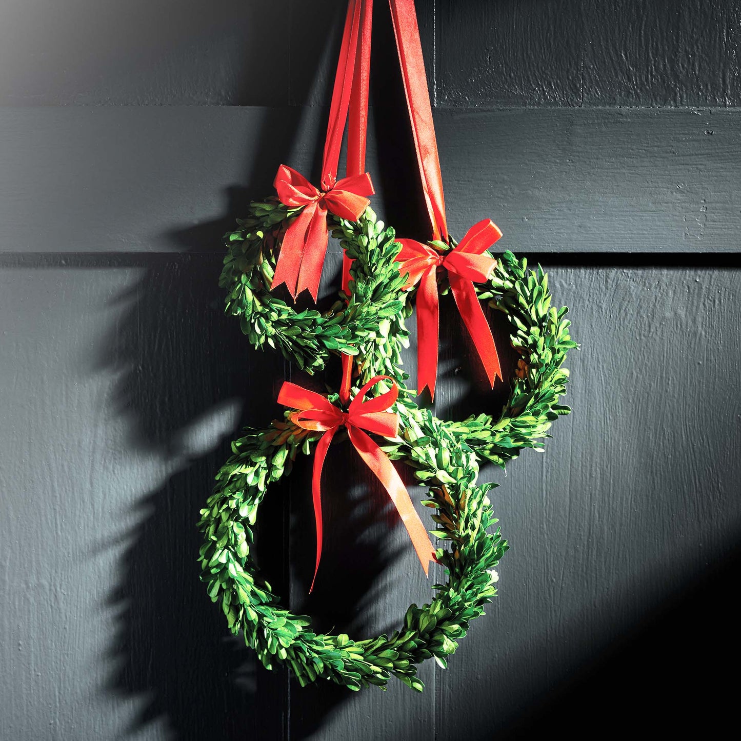 Preserved boxwood wreaths, set of 3, with satin red ribbons hung on dark wall.