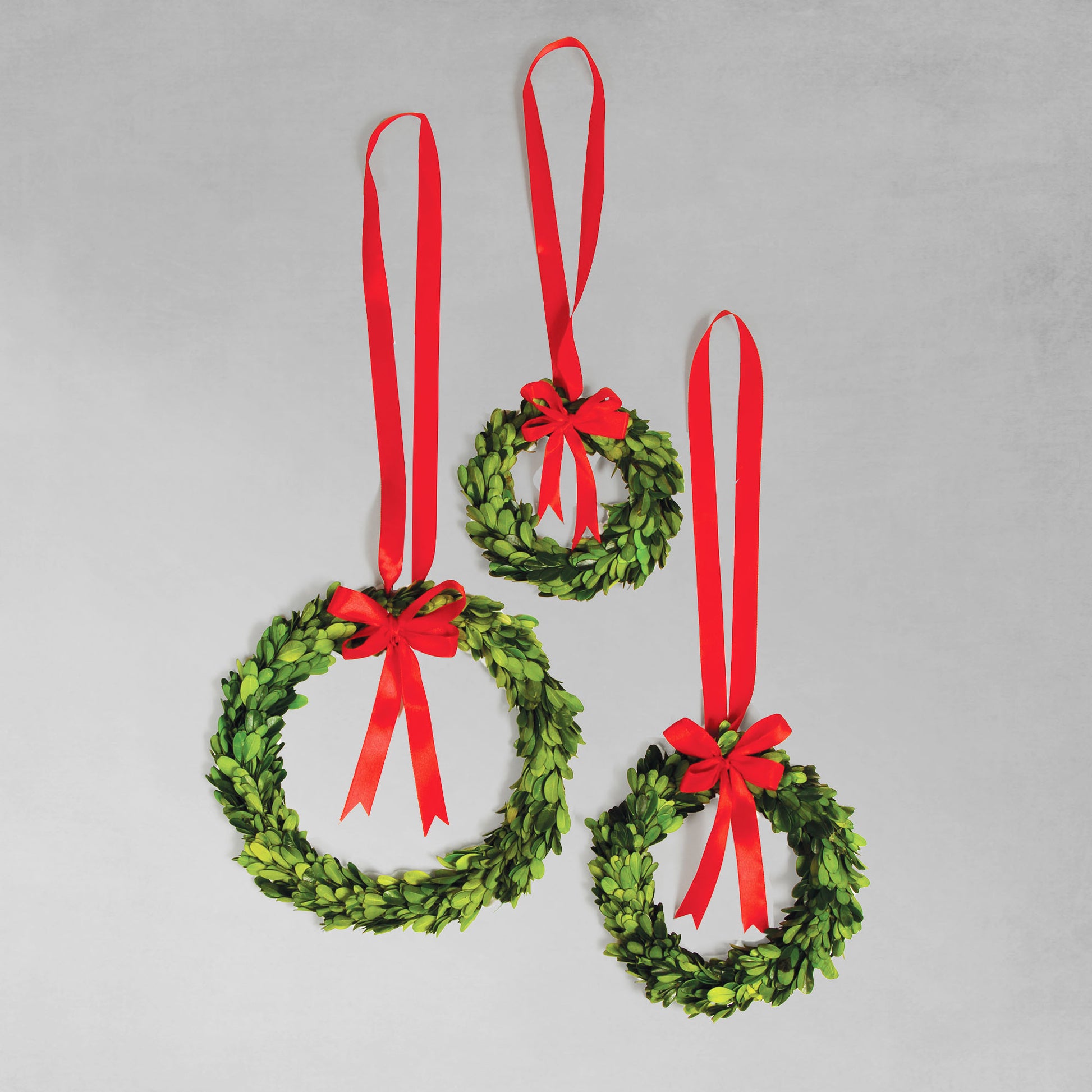 Preserved boxwood wreaths, set of 3, with satin red ribbons with gray background.