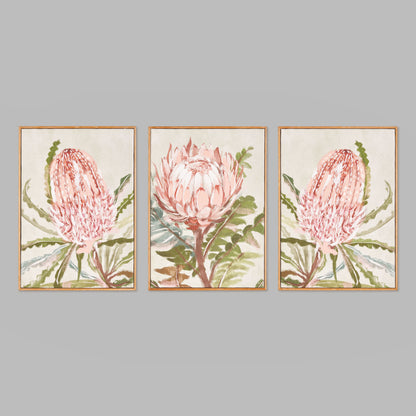 Queen protea botanical print triptych (set of 3) - stylish home accent (Image3).