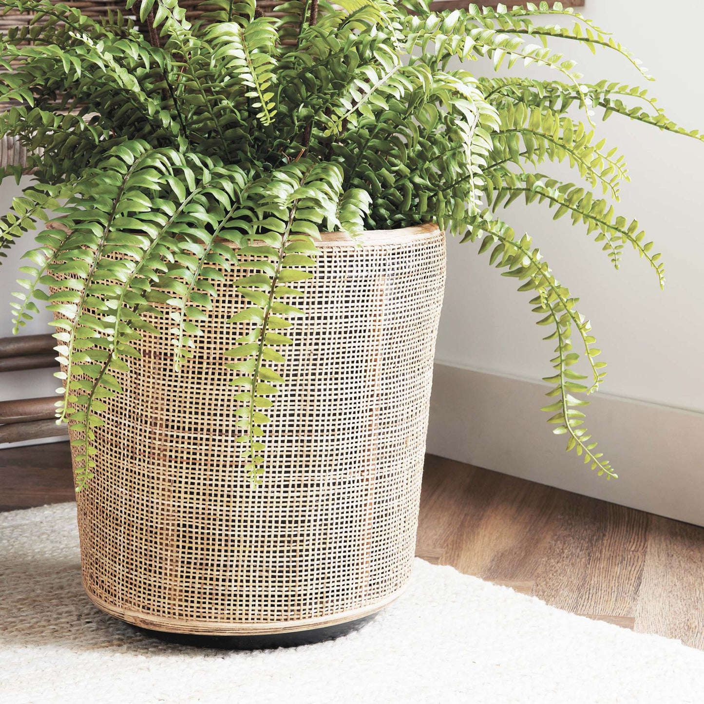 Round rattan planters (set of 2) - stylish home accent (Image5).