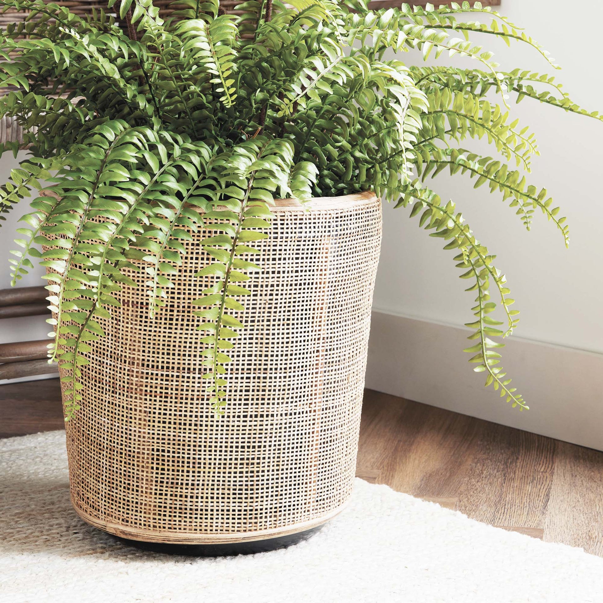 Round rattan planters (set of 2) - stylish home accent (Image5).