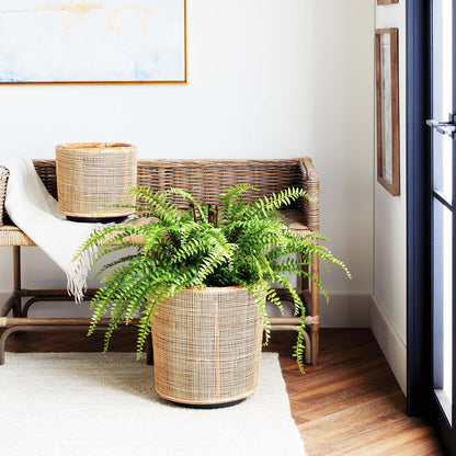 Round rattan planters (set of 2) - stylish home accent (Image7).