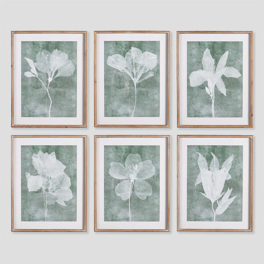 Sheer floral gallery wall art set on gray wall.
