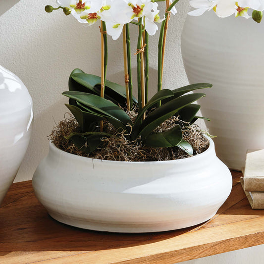 Smooth white decorative terracotta bowl filled with orchids, on table, with pottery.