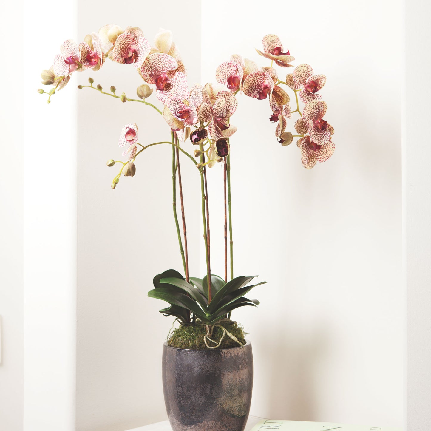 Speckled pink faux phalaenopsis orchid 32 inch - stylish home accent (Image2).
