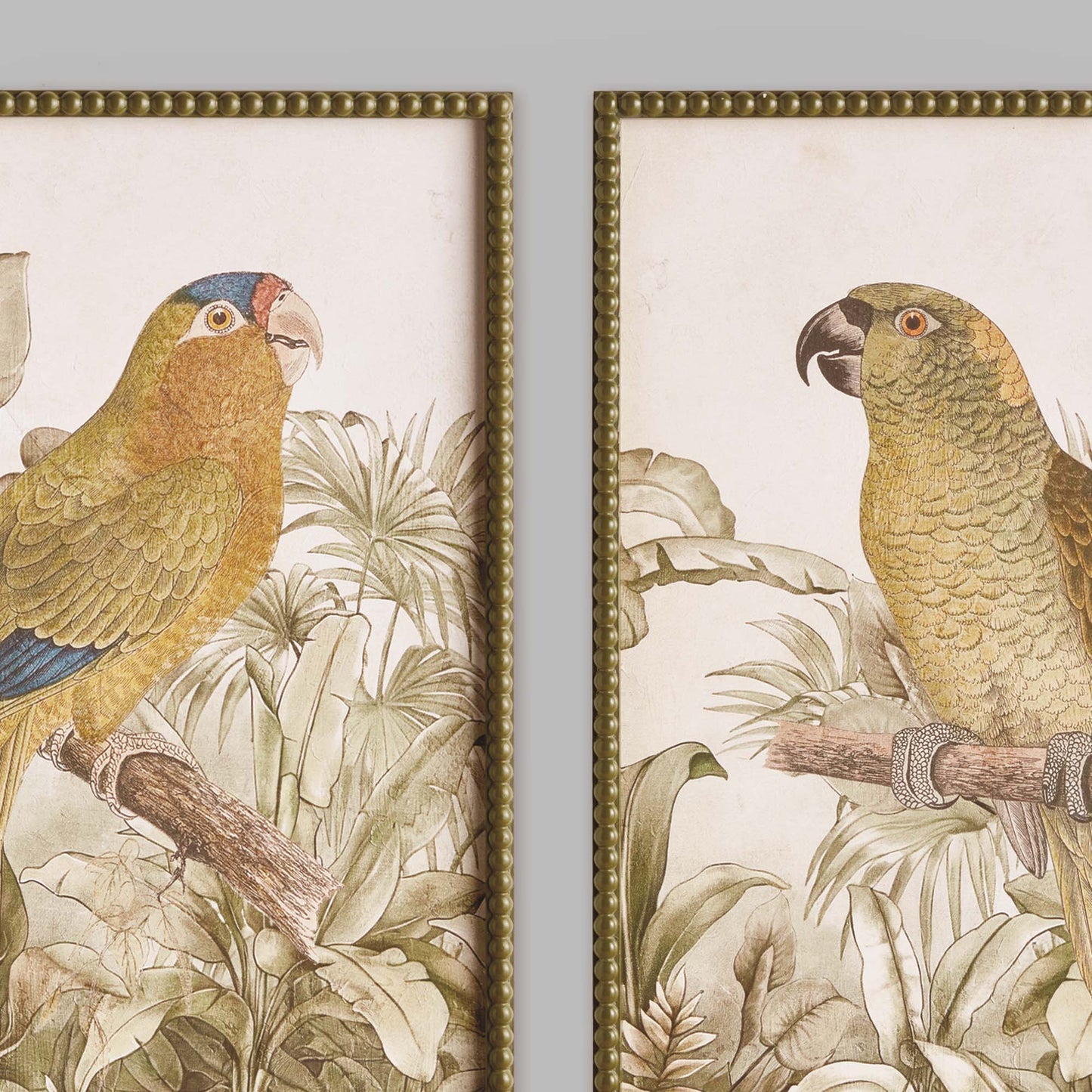 Tropical parrot framed prints (set of 2) - stylish home accent (Image3).