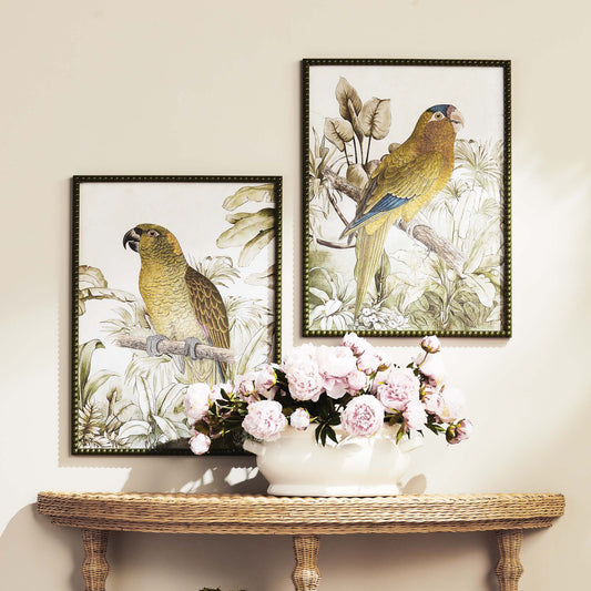 Tropical parrot framed prints (set of 2) - stylish home accent (Image1).