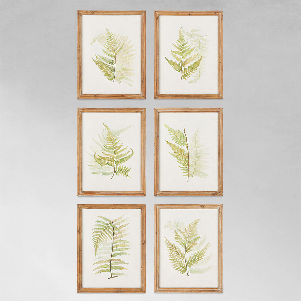 Watercolor fern gallery wall art set on gray wall.