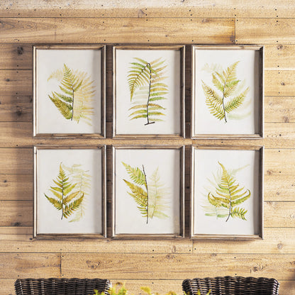 Watercolor fern gallery wall art set on rustic wood paneled wall.