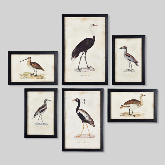 Waterfowl gallery wall art set on gray wall.