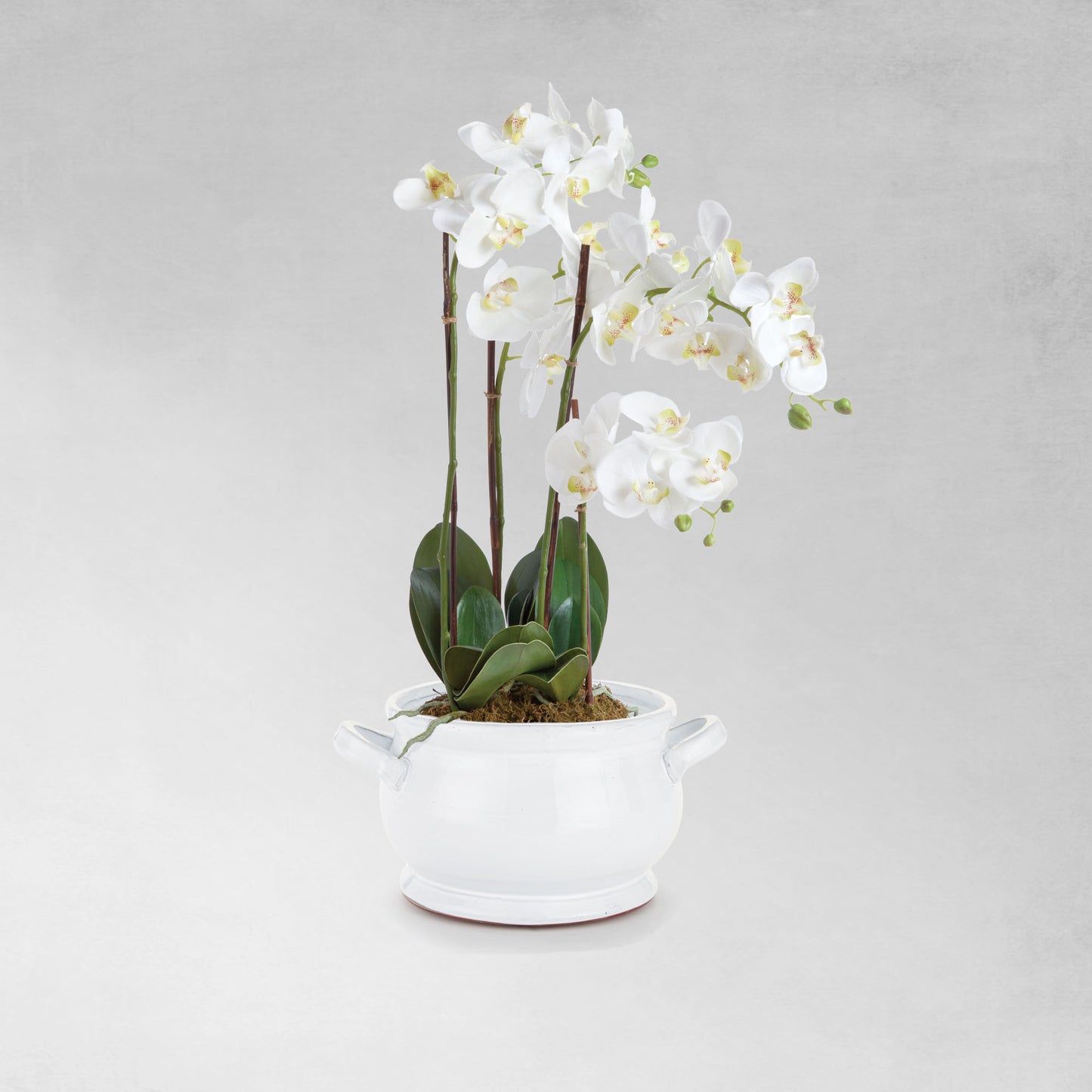 White ceramic footed bowl - stylish home accent (Image5).