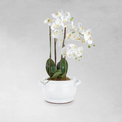 White ceramic footed bowl - stylish home accent (Image5).