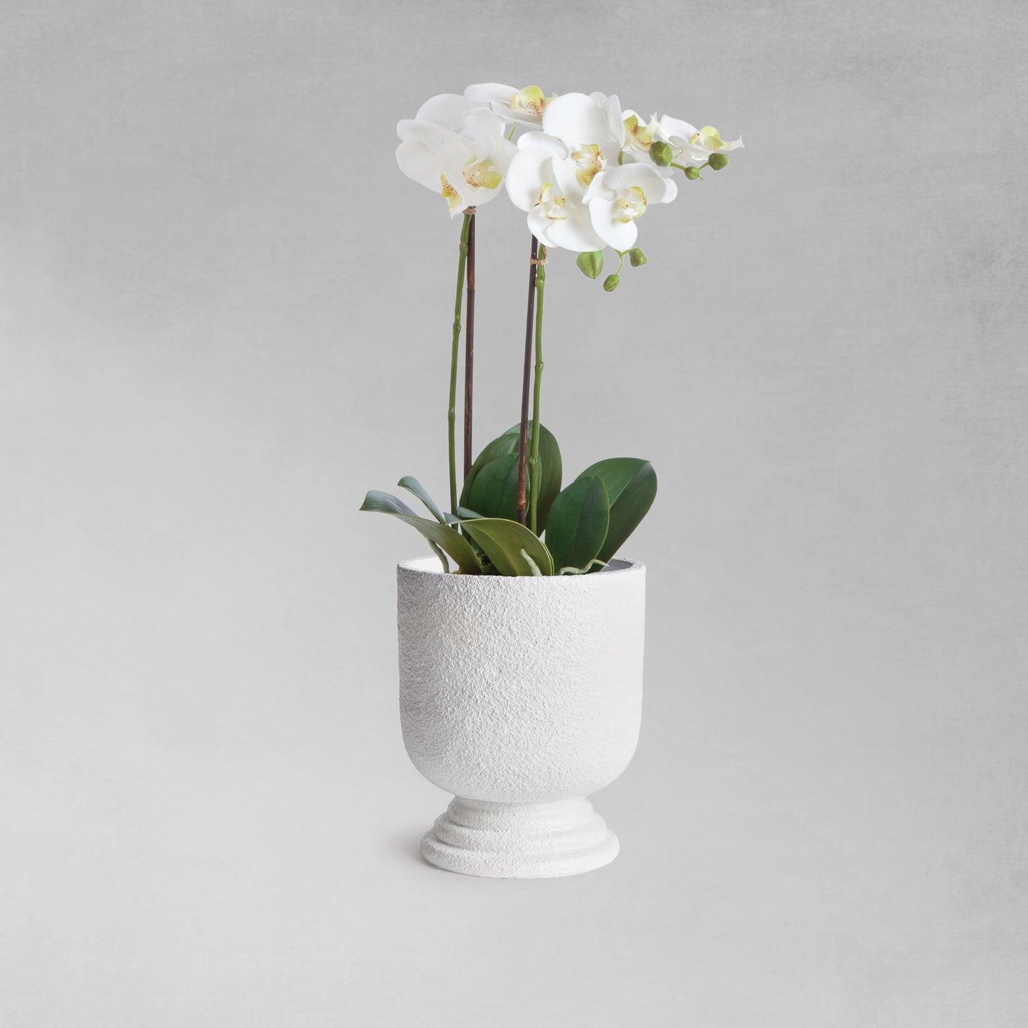 White concrete footed large urn - stylish home accent (Image4).