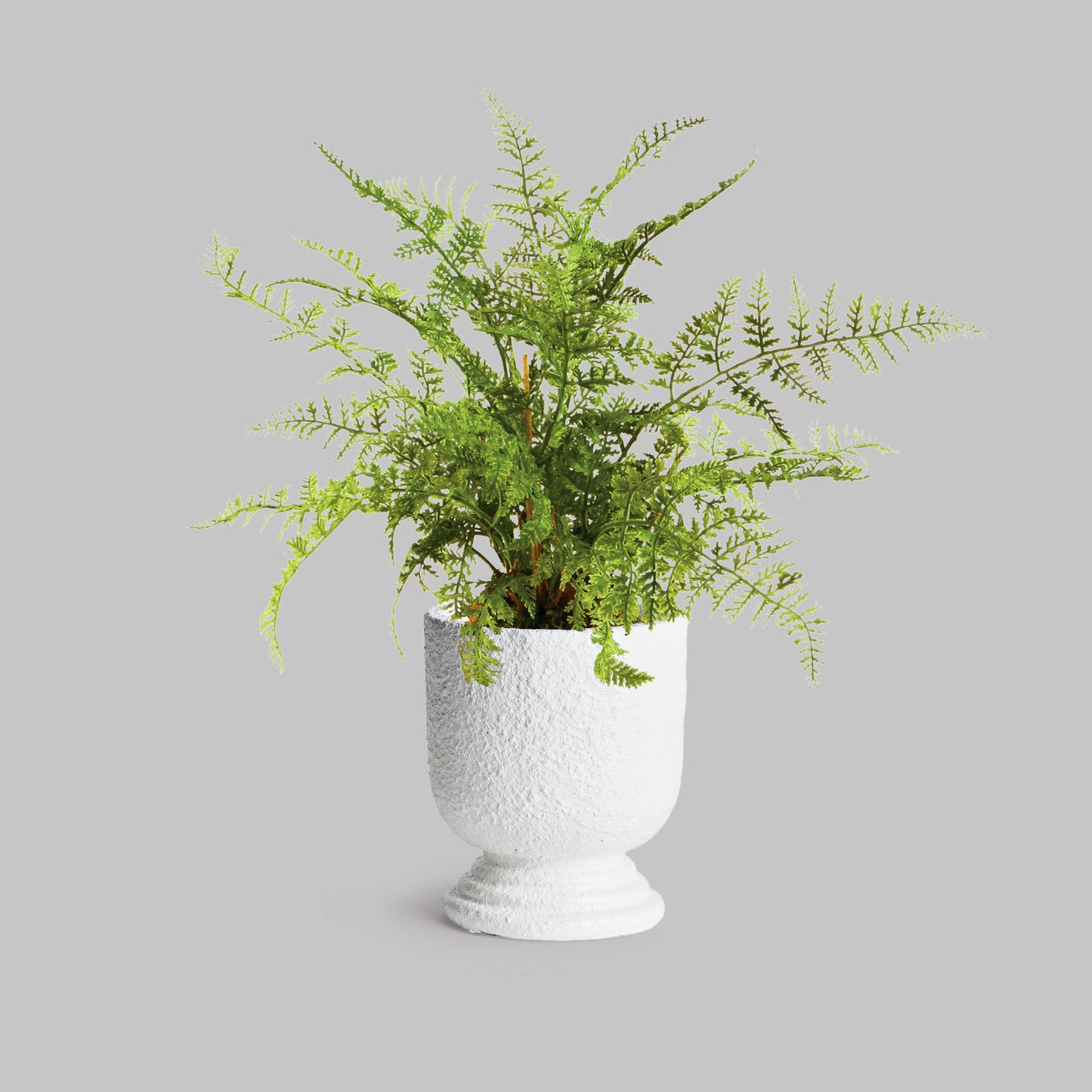 White concrete small footed urn 5 inch - stylish home accent (Image4).