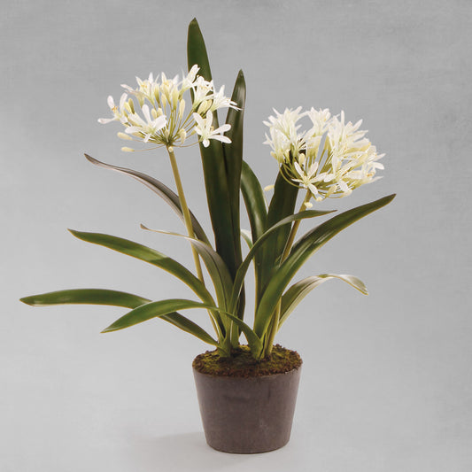 White faux agapanthus drop-in 23 inch - stylish home accent (Image1).