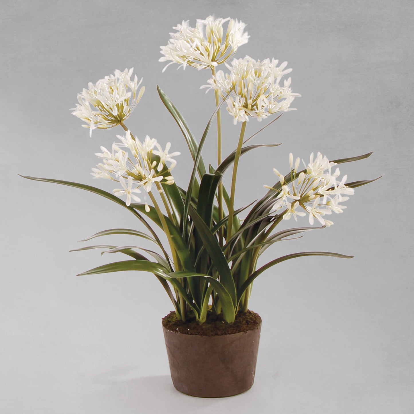 White faux agapanthus drop-in 29 inch - stylish home accent (Image1).