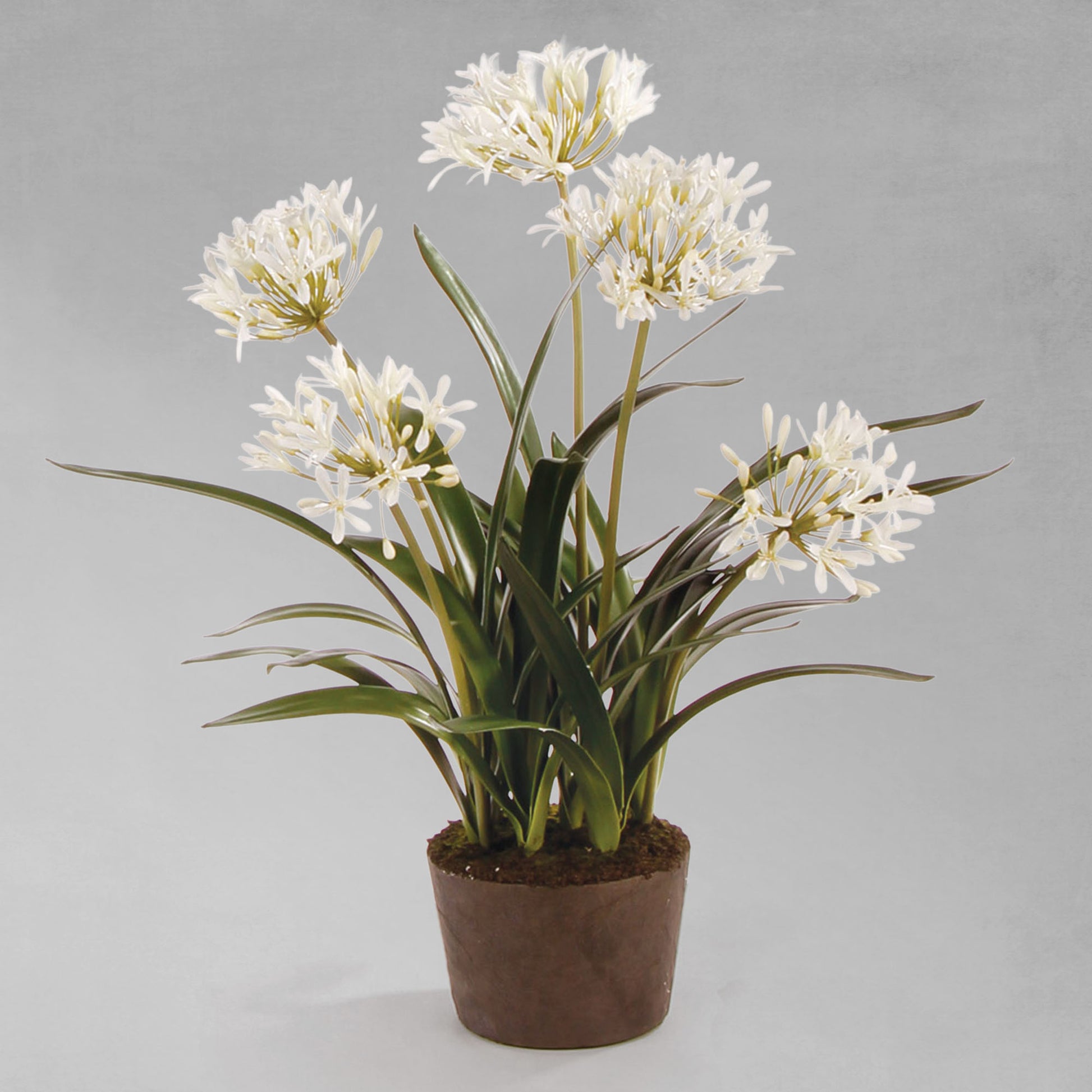 White faux agapanthus drop-in 29 inch - stylish home accent (Image1).