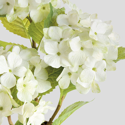White faux hydrangea drop-in - stylish home accent (Image3).