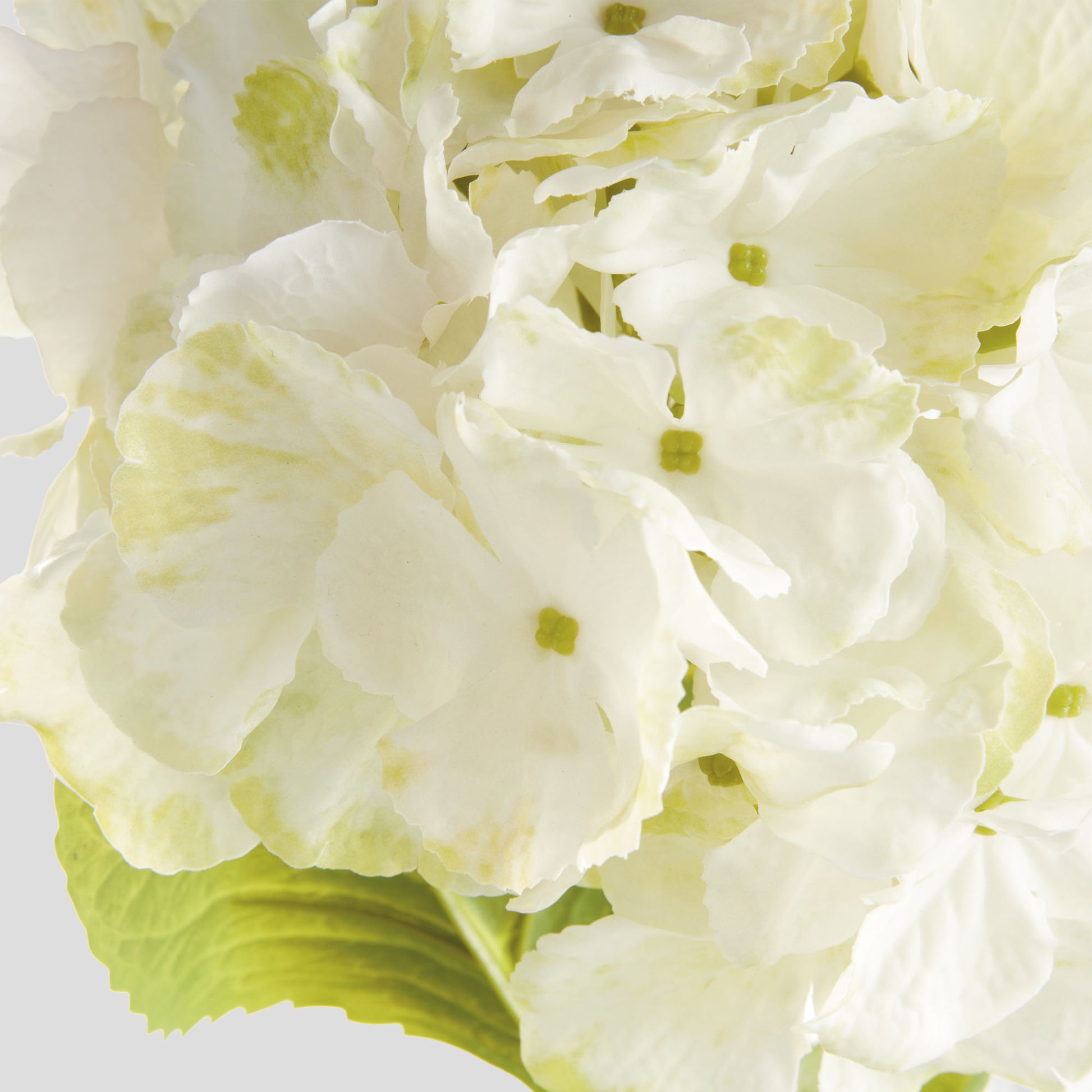 White faux hydrangea stems (set of 4) - stylish home accent (Image2).