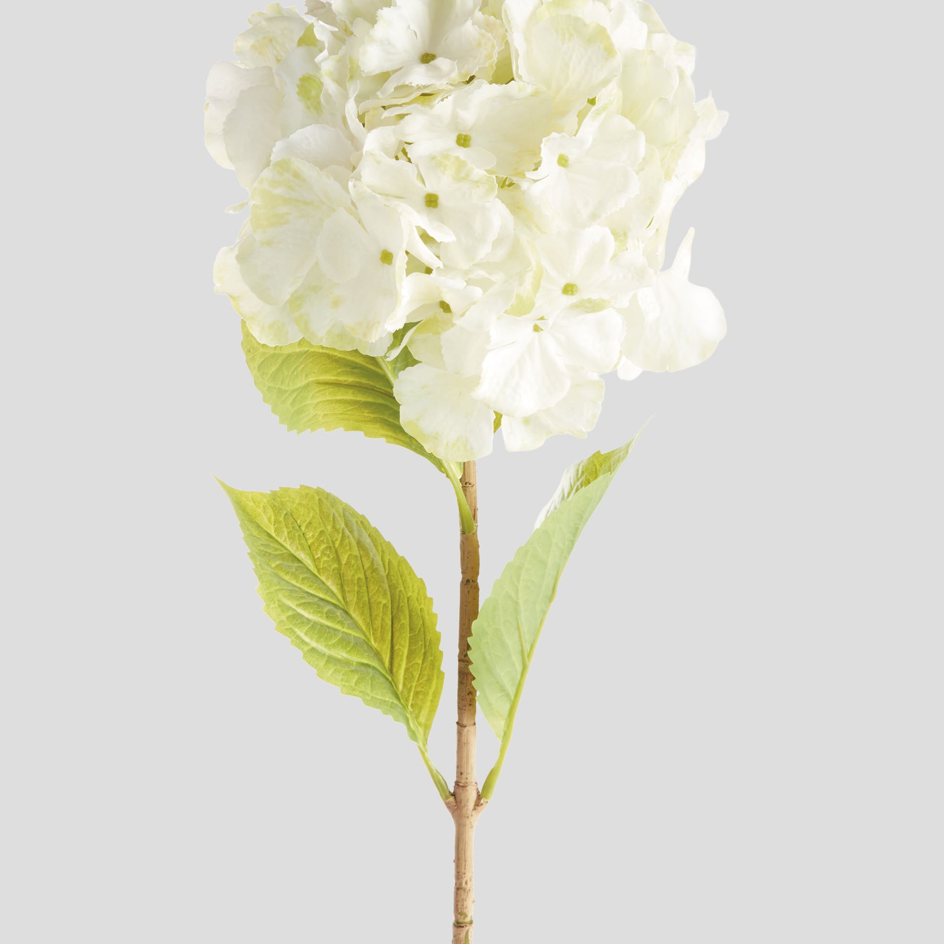 White faux hydrangea stems (set of 4) - stylish home accent (Image3).
