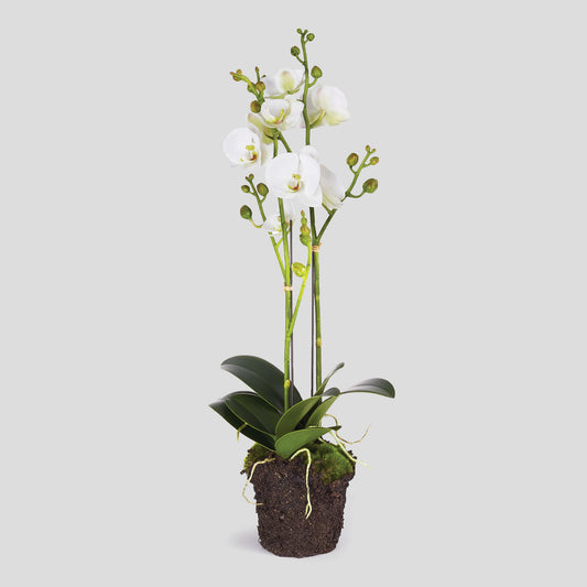 White faux phalaenopsis orchid 23 inch drop-in - stylish home accent (Image1).