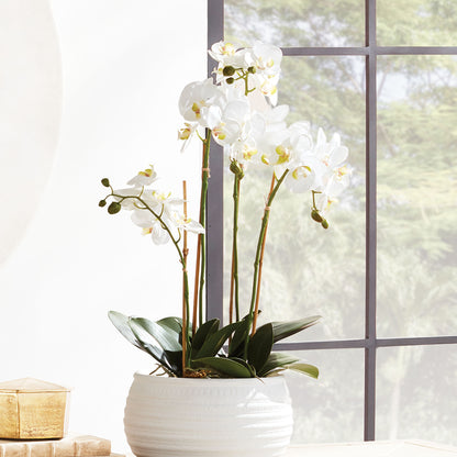 White faux phalaenopsis orchid 25 inch - stylish home accent (Image2).