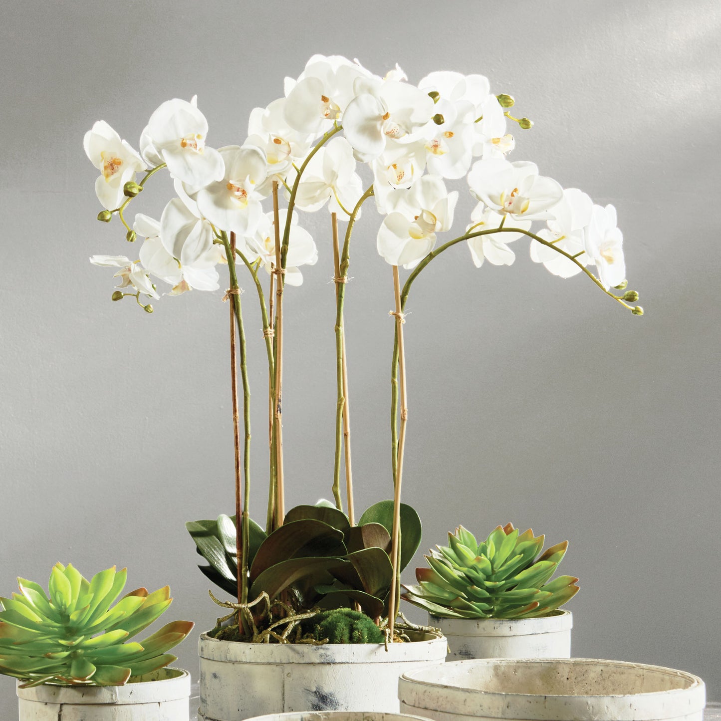 White faux phalaenopsis orchid 25 inch - stylish home accent (Image3).