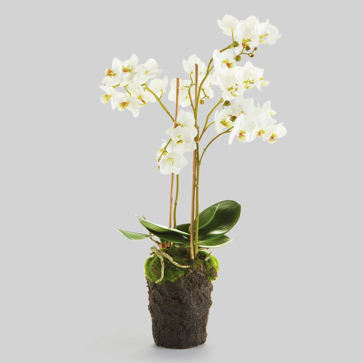 White faux phalaenopsis orchid drop-in 20 inch - stylish home accent (Image1).