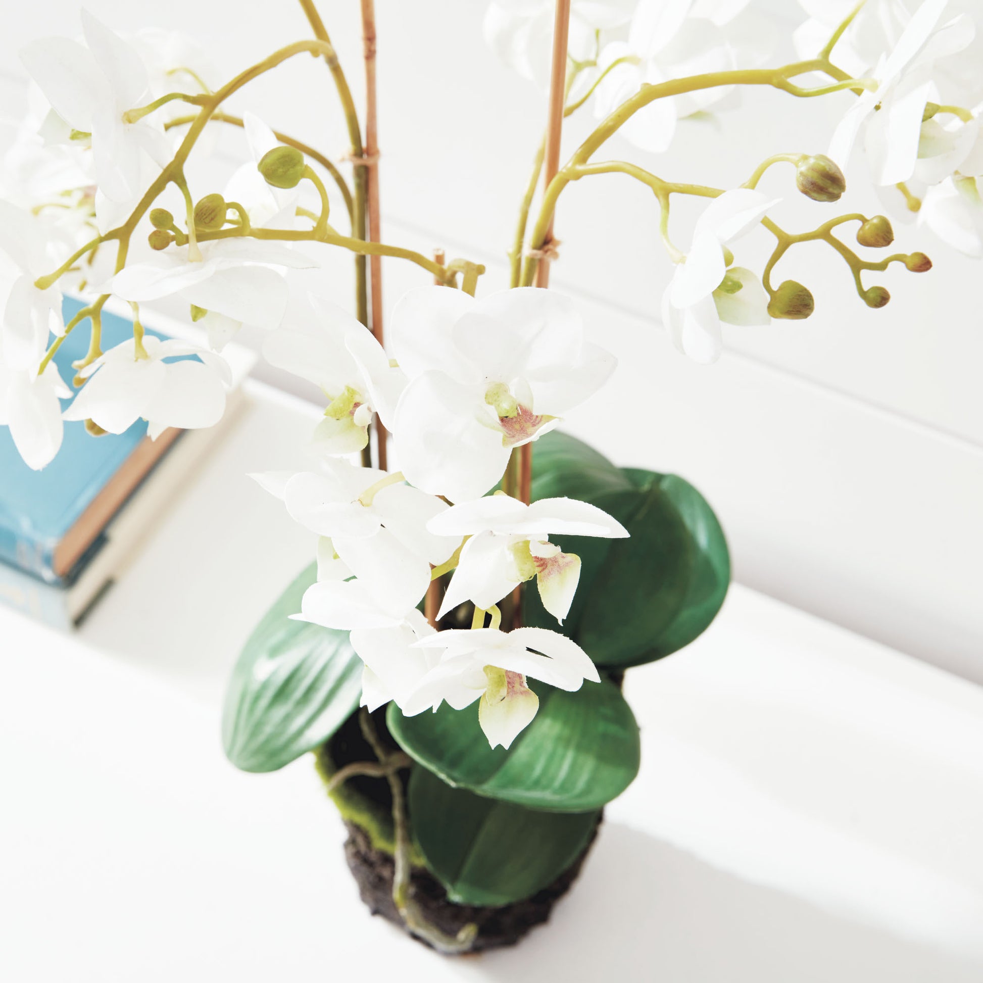 White faux phalaenopsis orchid drop-in 20 inch - stylish home accent (Image4).