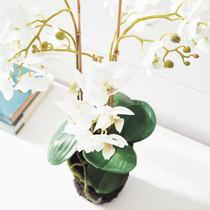 White faux phalaenopsis orchid drop-in 20 inch - stylish home accent (Image4).