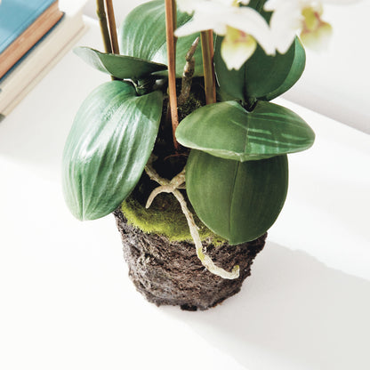 White faux phalaenopsis orchid drop-in 20 inch - stylish home accent (Image5).