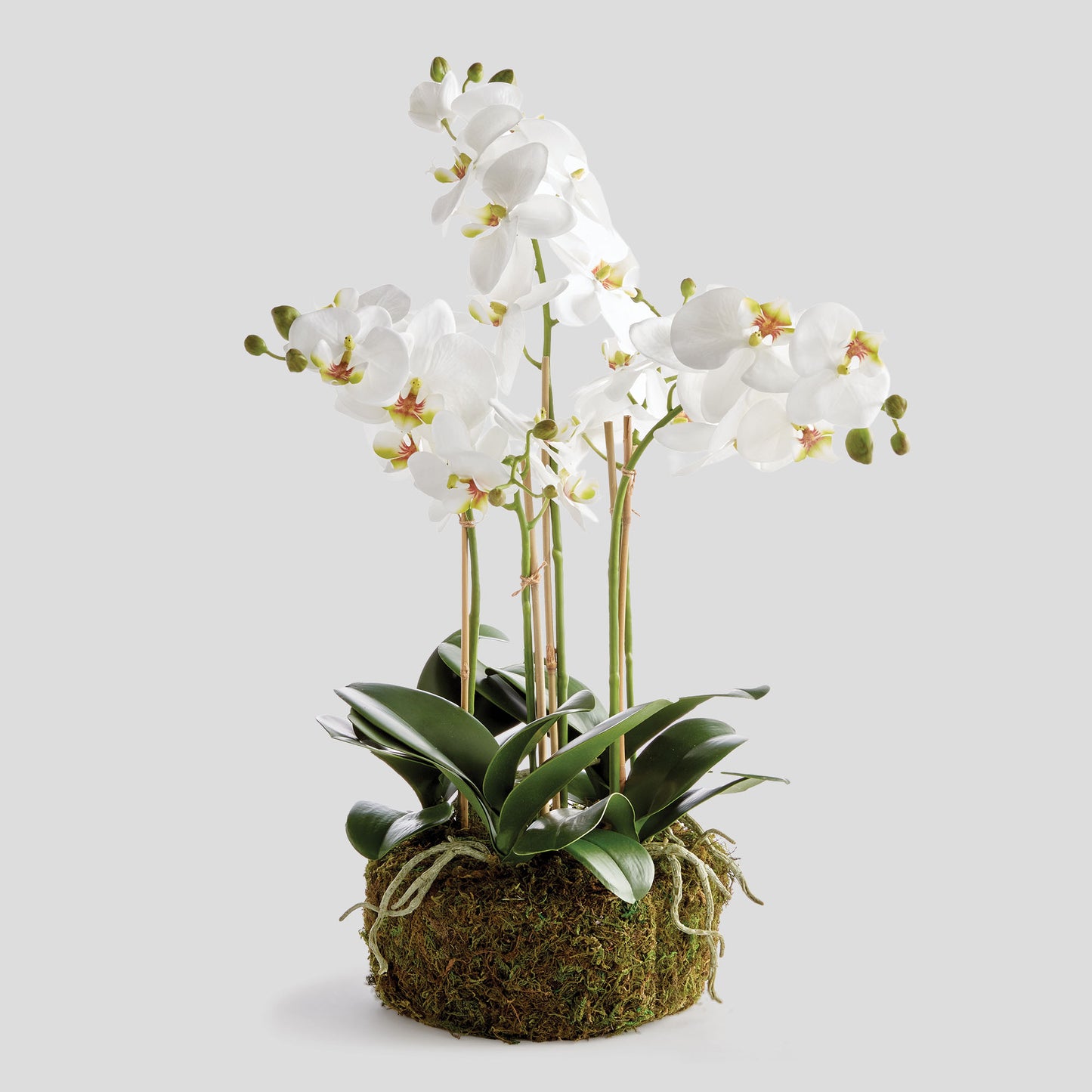 White faux phalaenopsis orchid drop-in 20 inch - stylish home accent (Image1).