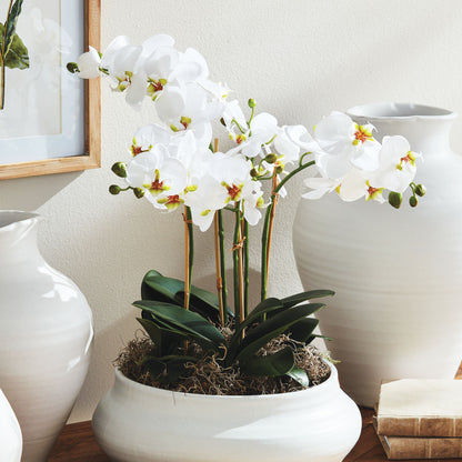 White faux phalaenopsis orchid drop-in 20 inch - stylish home accent (Image2).