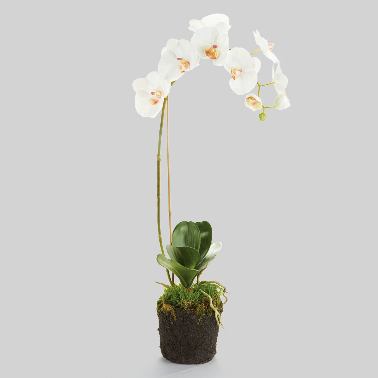 White faux phalaenopsis orchid drop-in 26 inch - stylish home accent (Image1).