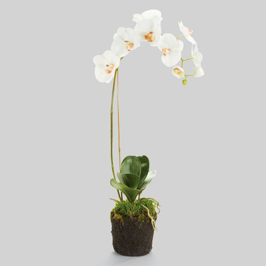 White faux phalaenopsis orchid drop-in 26 inch - stylish home accent (Image1).