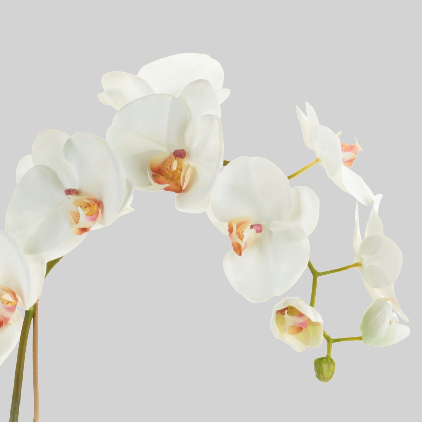 White faux phalaenopsis orchid drop-in 26 inch - stylish home accent (Image2).