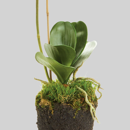 White faux phalaenopsis orchid drop-in 26 inch - stylish home accent (Image3).