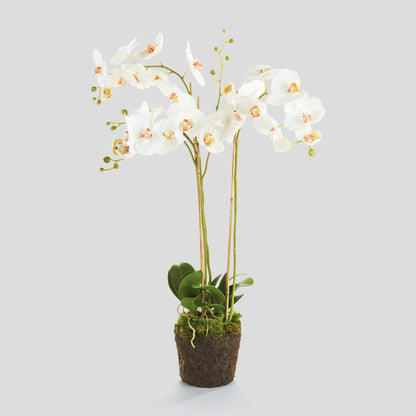 White faux phalaenopsis orchid drop-in 31 inch - stylish home accent (Image1).