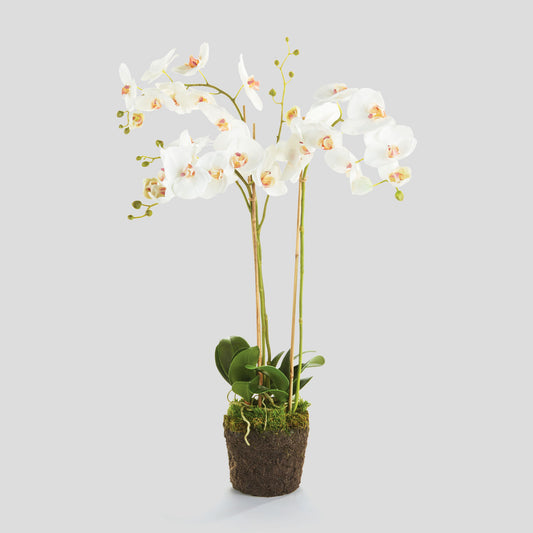 White faux phalaenopsis orchid drop-in 31 inch - stylish home accent (Image1).